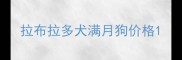 拉布拉多犬满月狗价格