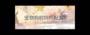 宠物狗的饲料配方