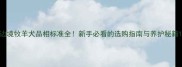 边境牧羊犬品相标准全新手必看的选购指南与养护秘籍
