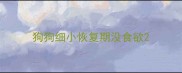 狗狗细小恢复期没食欲