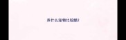 养什么宠物比较酷