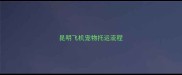昆明飞机宠物托运流程