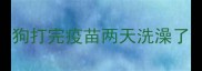 狗打完疫苗两天洗澡了