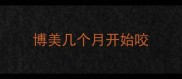 博美几个月开始咬