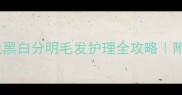 边境牧羊犬黑白分明毛发护理全攻略附保姆级教程