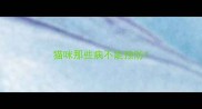猫咪那些病不能预防