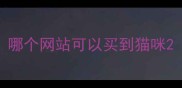 哪个网站可以买到猫咪