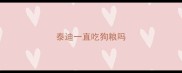 泰迪一直吃狗粮吗