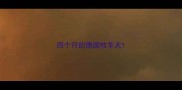 四个月的德国牧羊犬