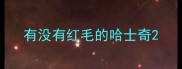 有没有红毛的哈士奇