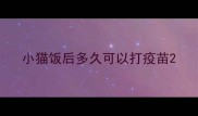 小猫饭后多久可以打疫苗