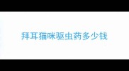 拜耳猫咪驱虫药多少钱