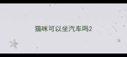 猫咪可以坐汽车吗