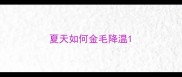夏天如何金毛降温