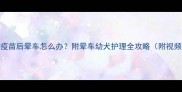幼犬打疫苗后晕车怎么办附晕车幼犬护理全攻略附视频教程
