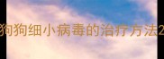 狗狗细小病毒的治疗方法