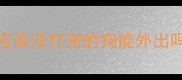 疫苗没打完的狗能外出吗
