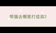 带猫去哪里打疫苗