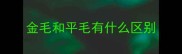 金毛和平毛有什么区别
