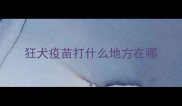 狂犬疫苗打什么地方在哪