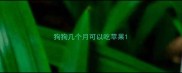 狗狗几个月可以吃苹果