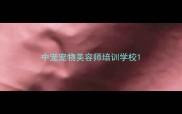 中宠宠物美容师培训学校
