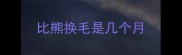 比熊换毛是几个月
