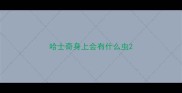 哈士奇身上会有什么虫