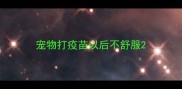 宠物打疫苗以后不舒服
