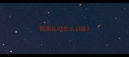 狗狗乱叫怎么训练