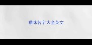 猫咪名字大全英文