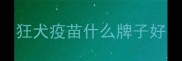 狂犬疫苗什么牌子好