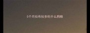 5个月拉布拉多吃什么狗粮