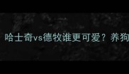 超全对比哈士奇vs德牧谁更可爱养狗攻略必看