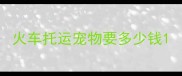火车托运宠物要多少钱