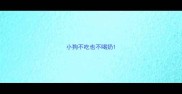 小狗不吃也不喝奶