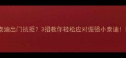 泰迪出门抗拒3招教你轻松应对倔强小泰迪