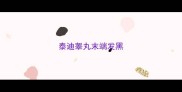 泰迪睾丸末端发黑