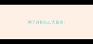两个月狗吃庆大霉素