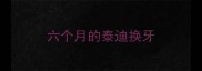 六个月的泰迪换牙
