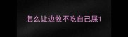 怎么让边牧不吃自己屎