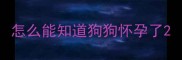 怎么能知道狗狗怀孕了