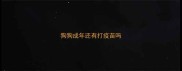 狗狗成年还有打疫苗吗