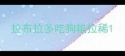 拉布拉多吃狗粮拉稀