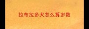 拉布拉多犬怎么算岁数