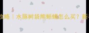 另类宠物购买全攻略水豚树袋熊蜥蜴怎么买新手必看避坑指南