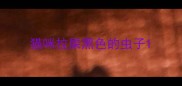 猫咪拉屎黑色的虫子