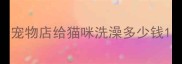 宠物店给猫咪洗澡多少钱