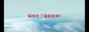 猫咪吃了猫粮脸肿