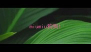 miumiu狗狗